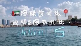 如何应对沙特阿拉伯越来越开放的社会变革挑战
